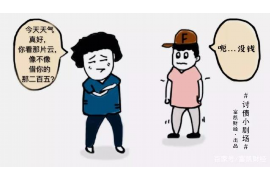 武定武定的要账公司在催收过程中的策略和技巧有哪些？